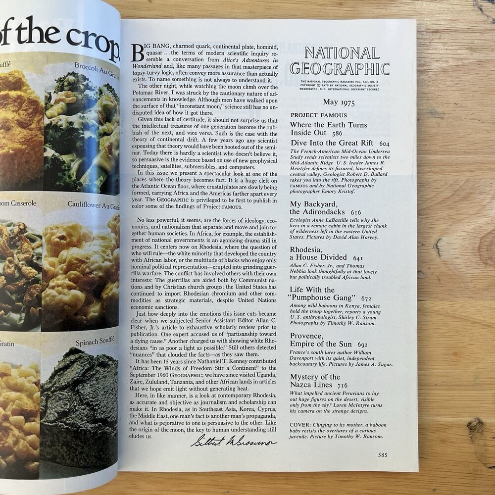 Vintage National Geographic May 1975 Adirondacks Rhodesia Baboons Nazca Lines - Picture 2 of 11